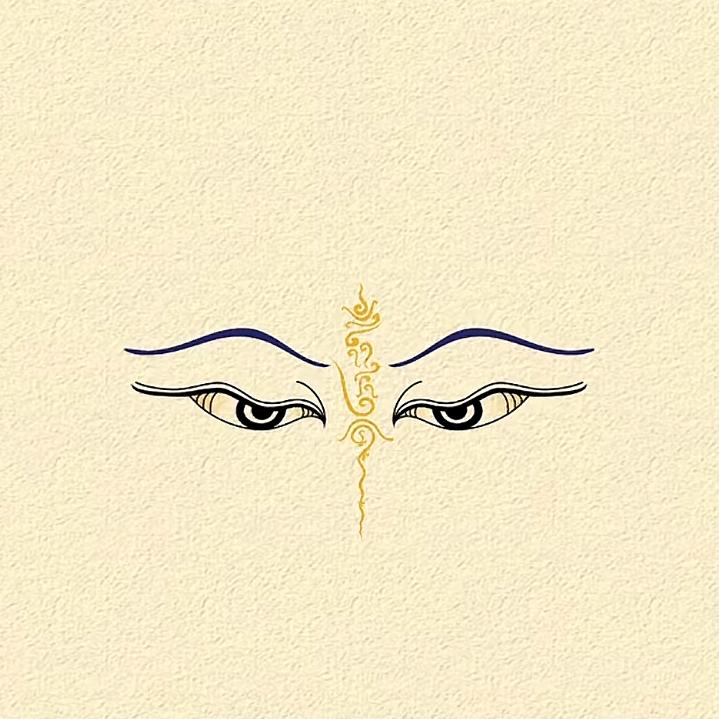 己未已来（413）