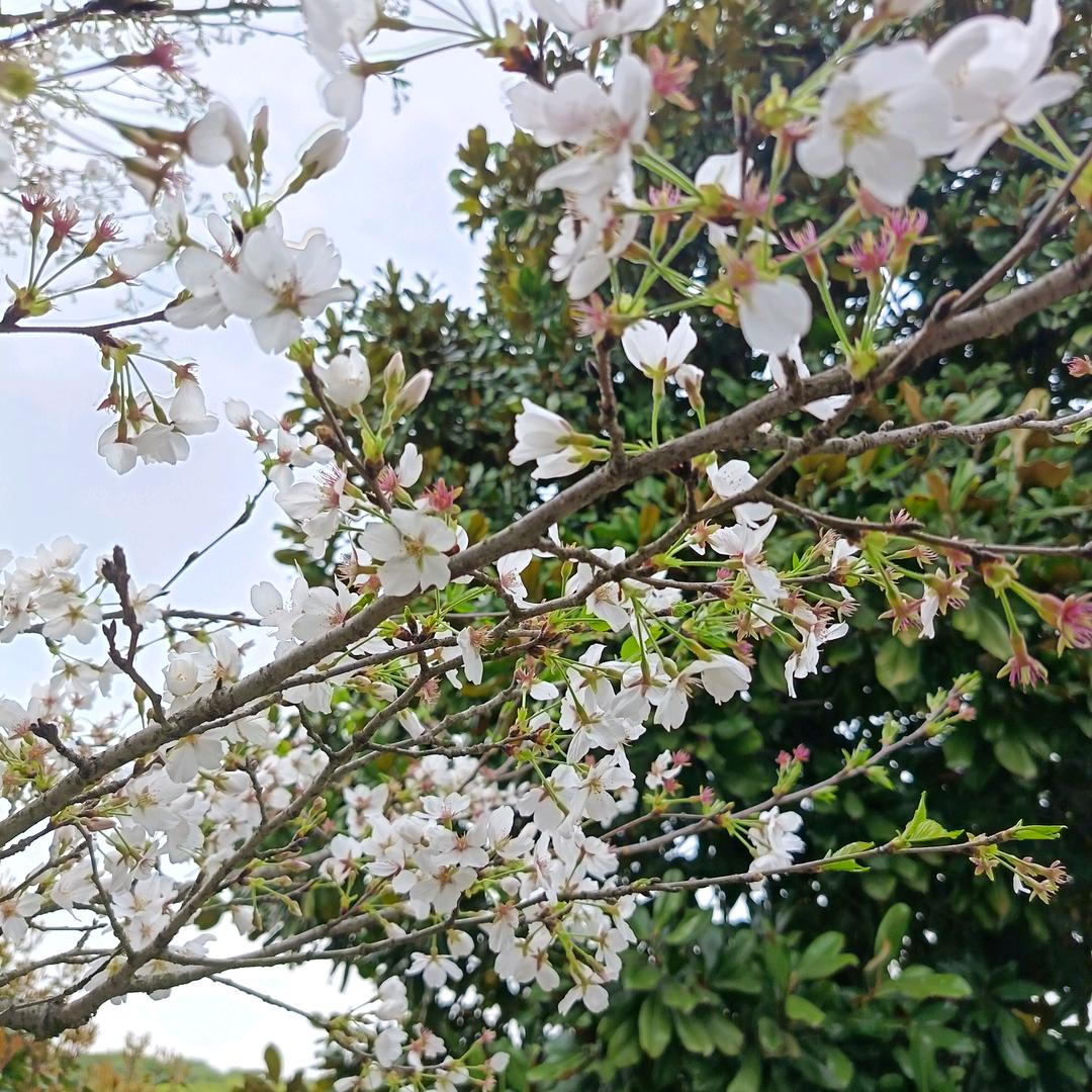 ...今天不熬夜...