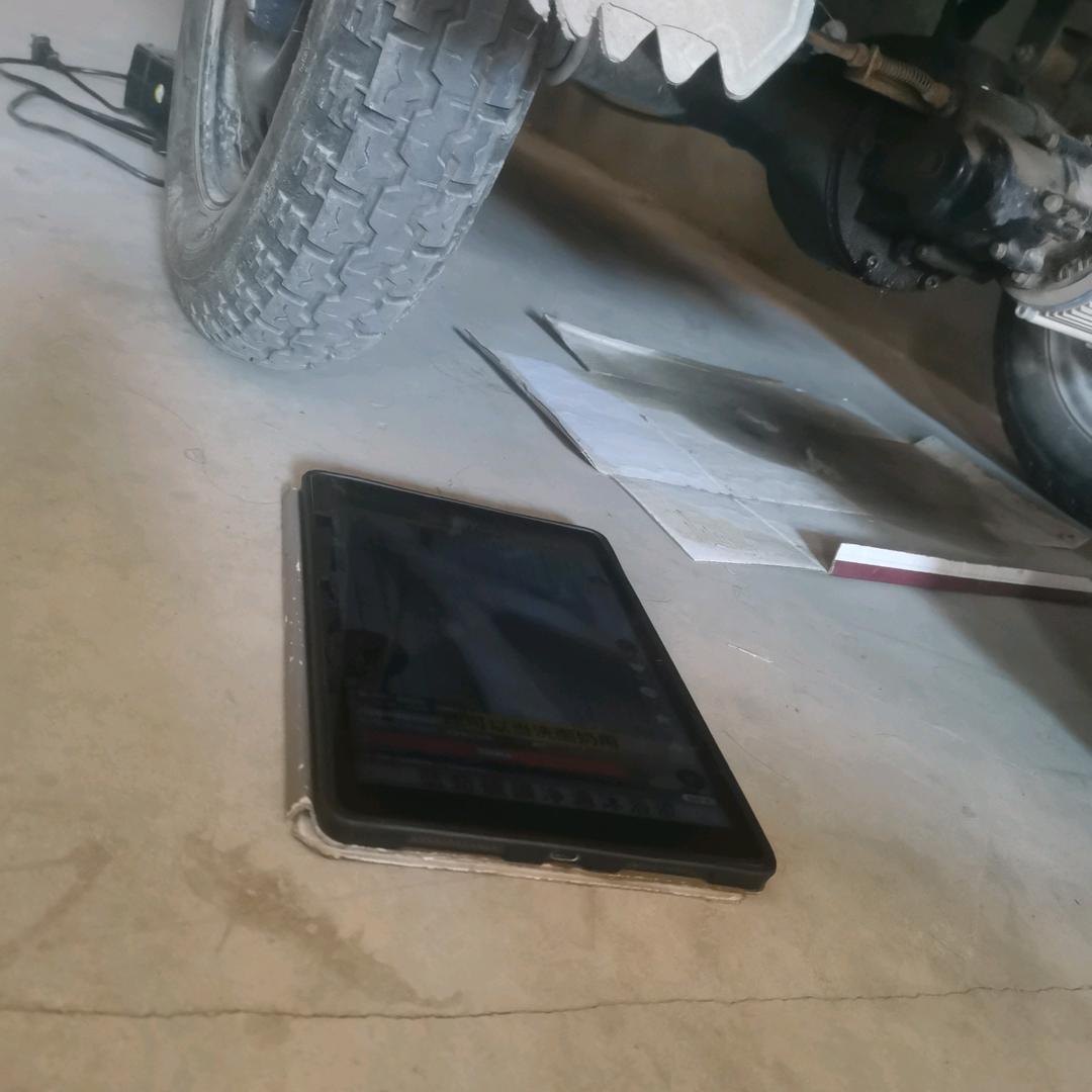 🌺好运常伴🌺