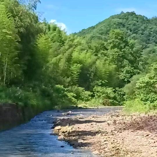 风铃🎐
