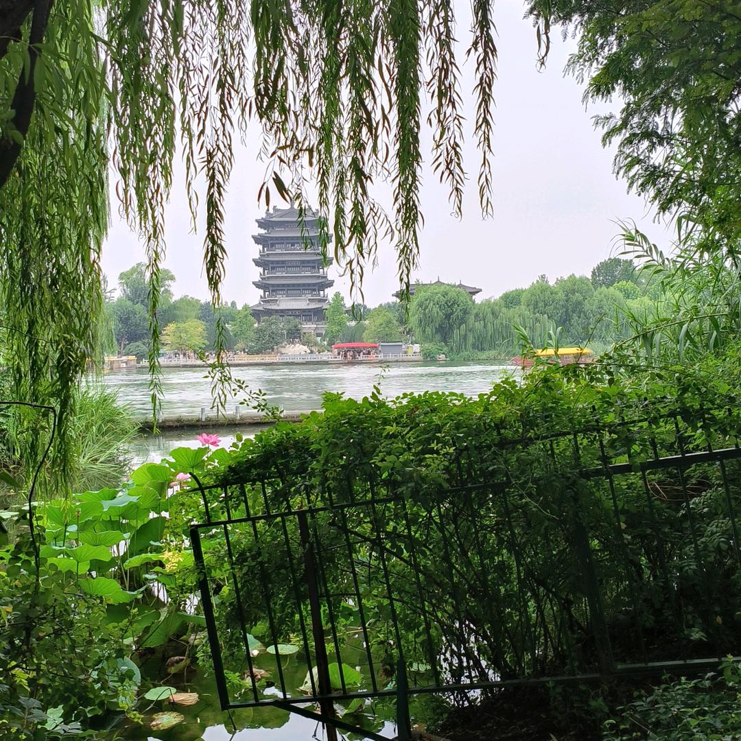 寻亲倩倩