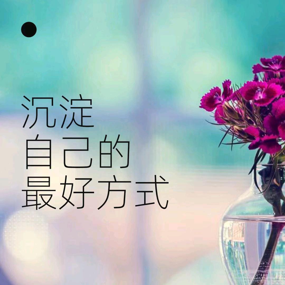 年轮藏岁月