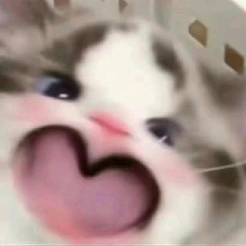 淼淼