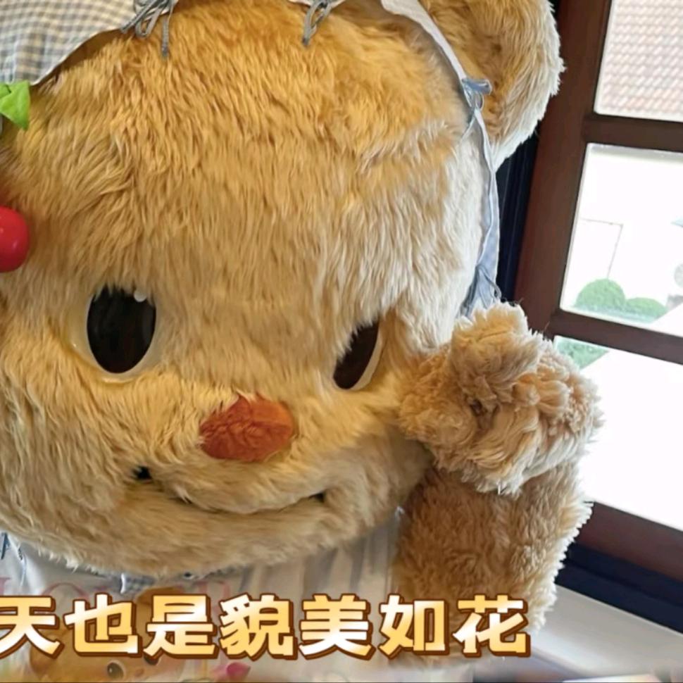 小鱼宝