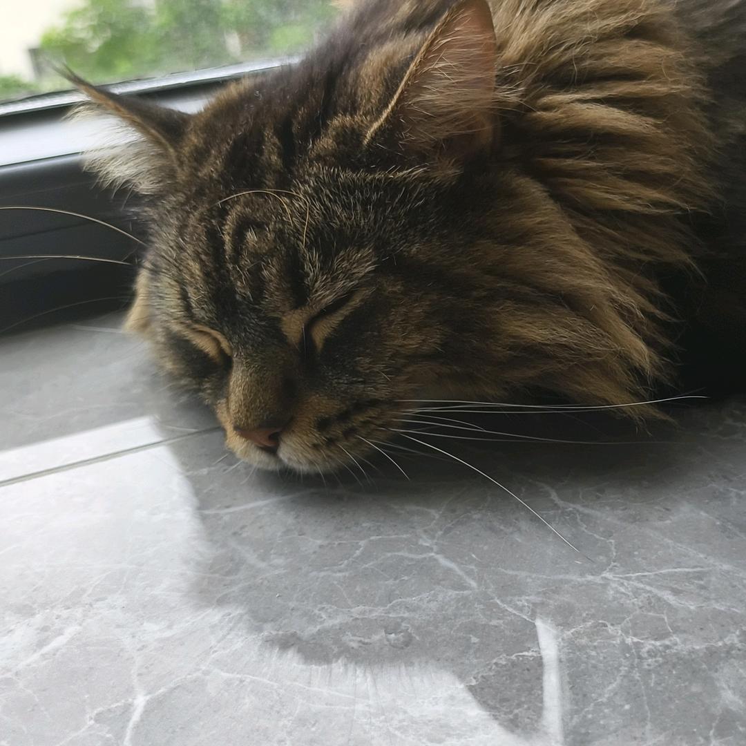 蔓宝今天开心了吗？