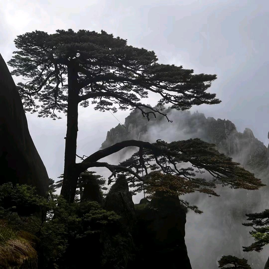俺是大懒虫