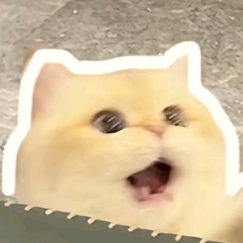 小阿汤