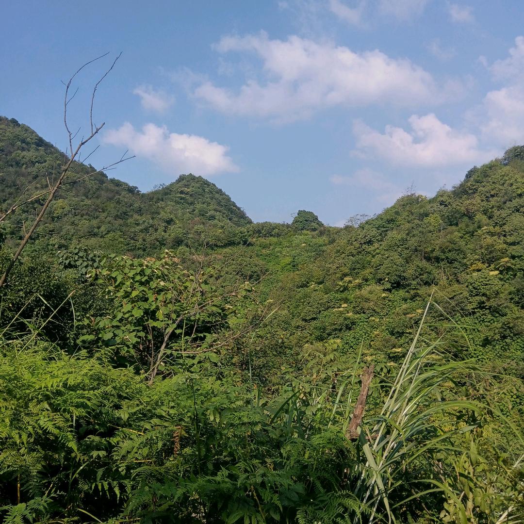 从此不再打扰任何人，