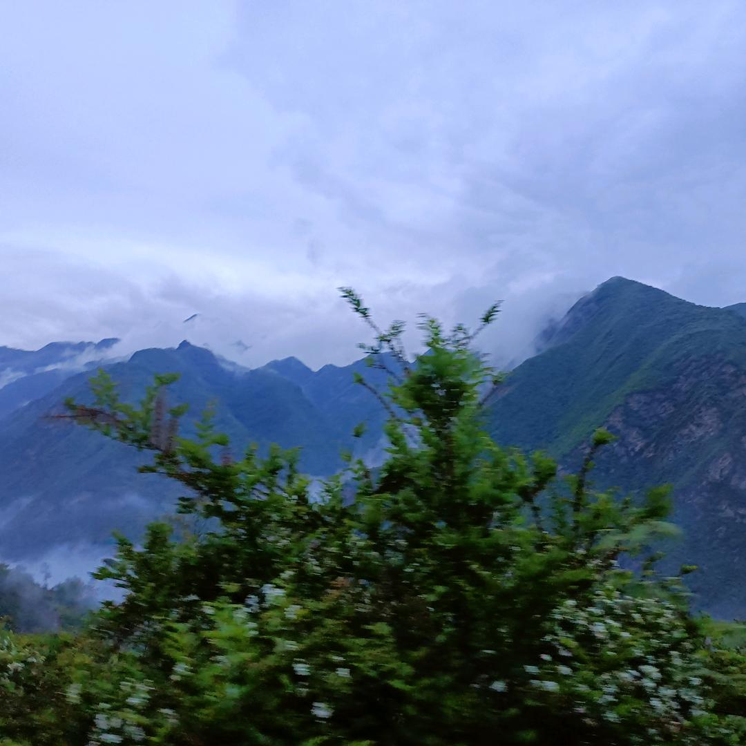 🍃半亩心田🍃