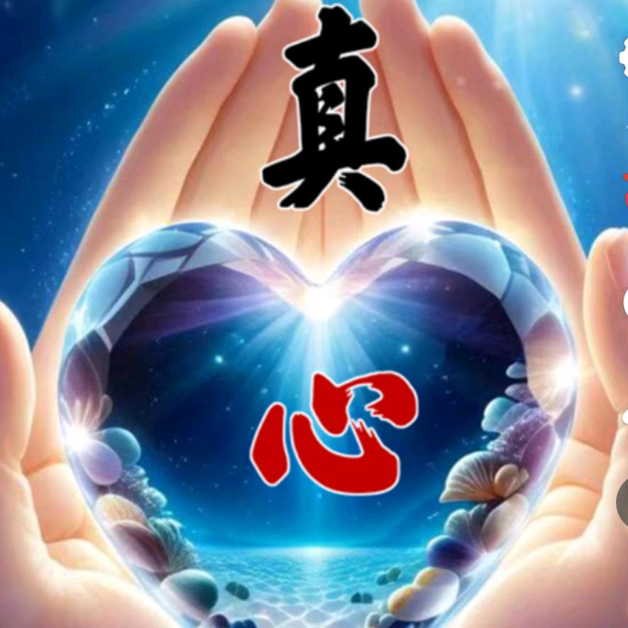 ZHENxin真心