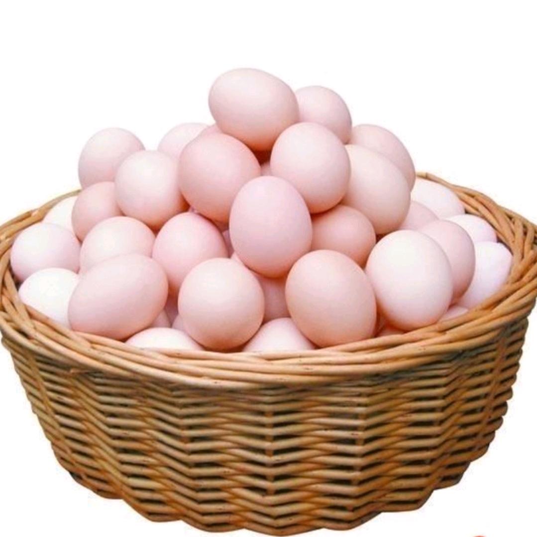 郸城章太兵活珠子厂家直销