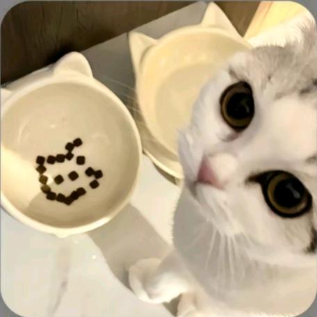 牙牙swag
