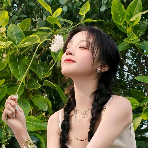 菊姐好物