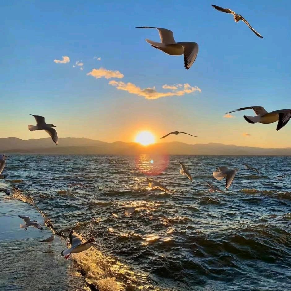 开心（正能量）