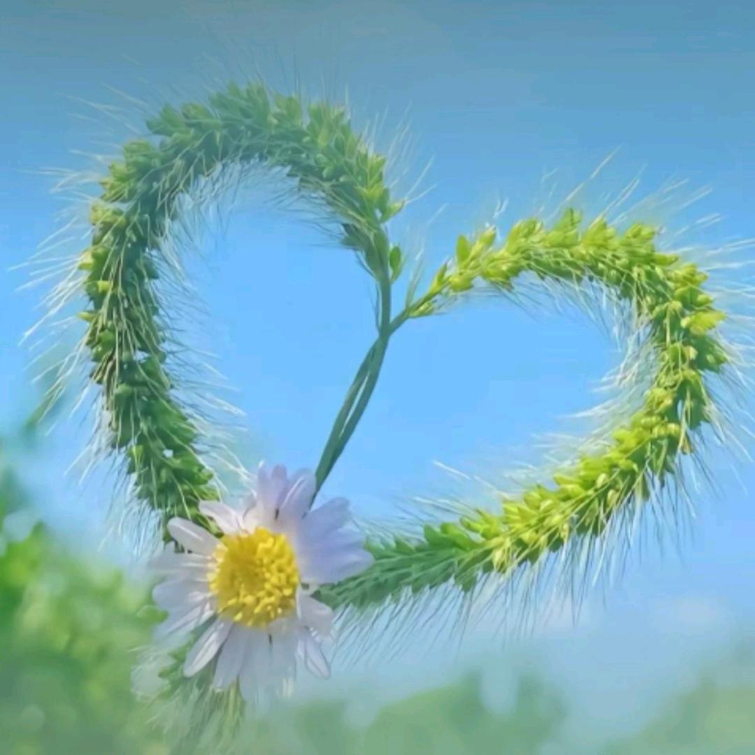 ღ因为你🍒꧔