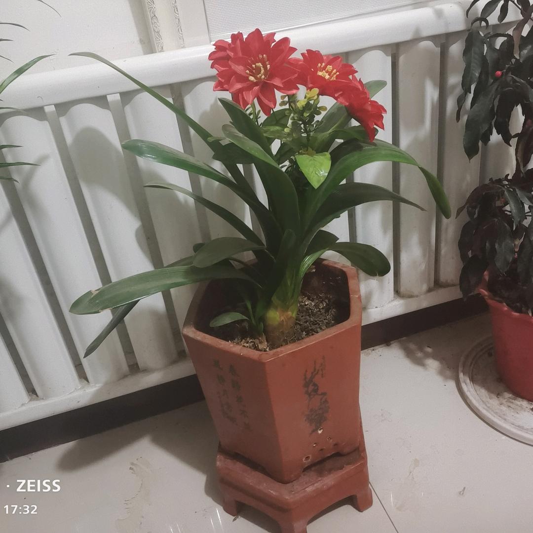 感恩遇见，