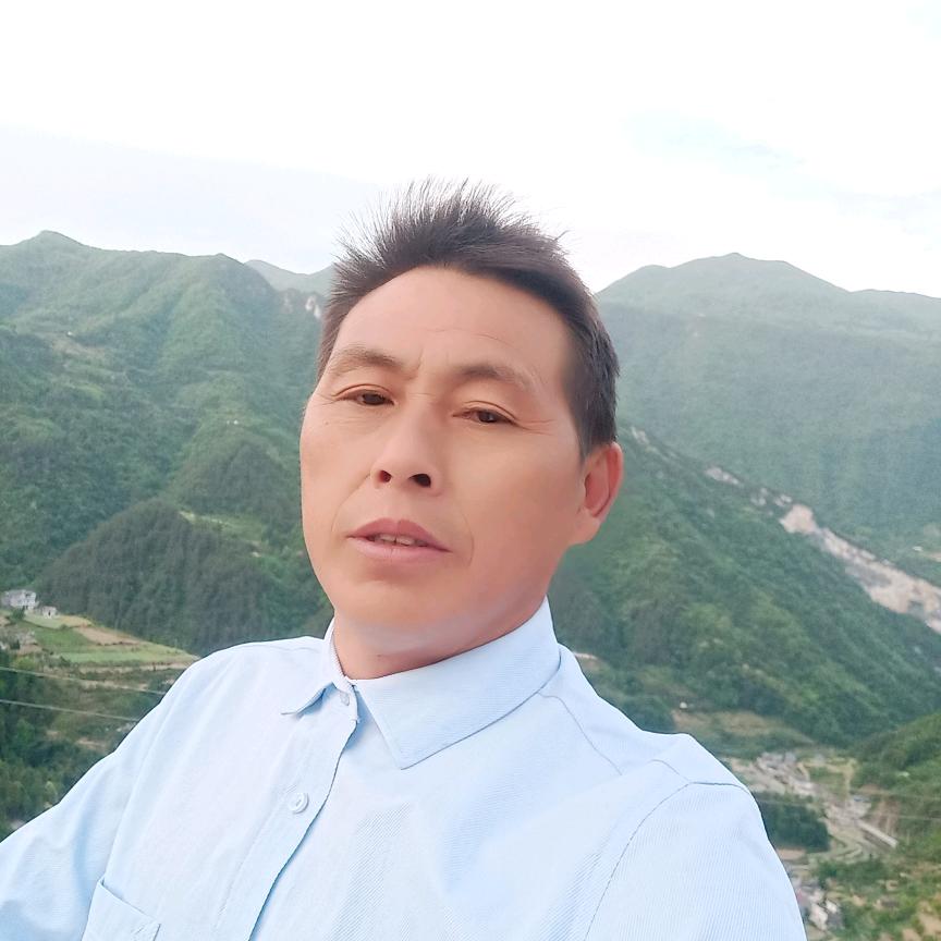 热心飞狼
