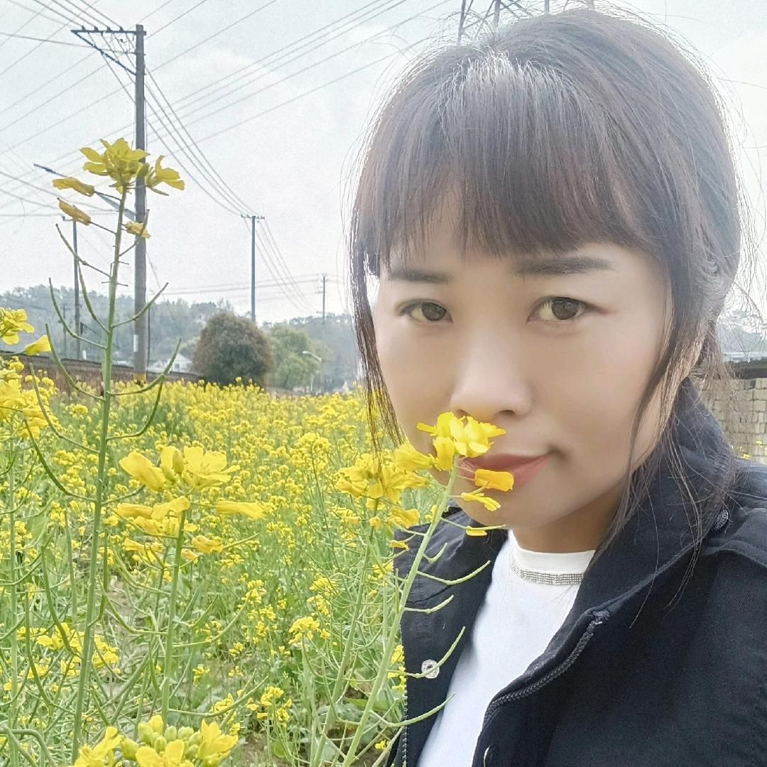 飞煌腾达