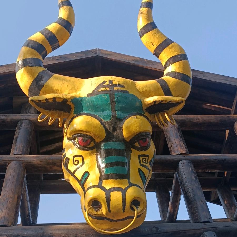 烤地瓜  一块去能买仨