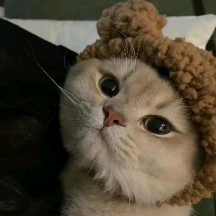 宋江