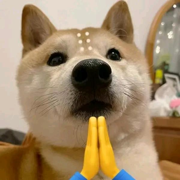 •倩