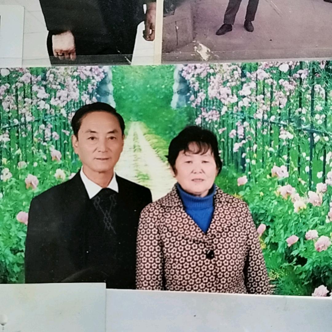 平淡生活