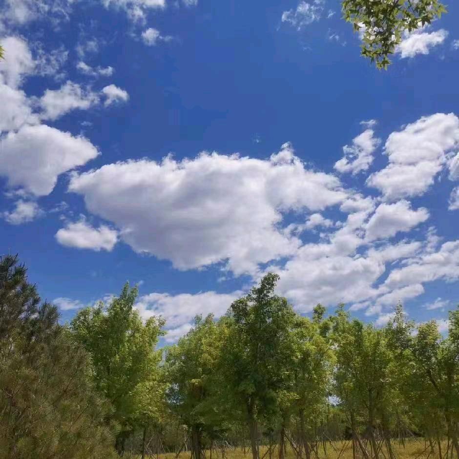 用户3235323984012