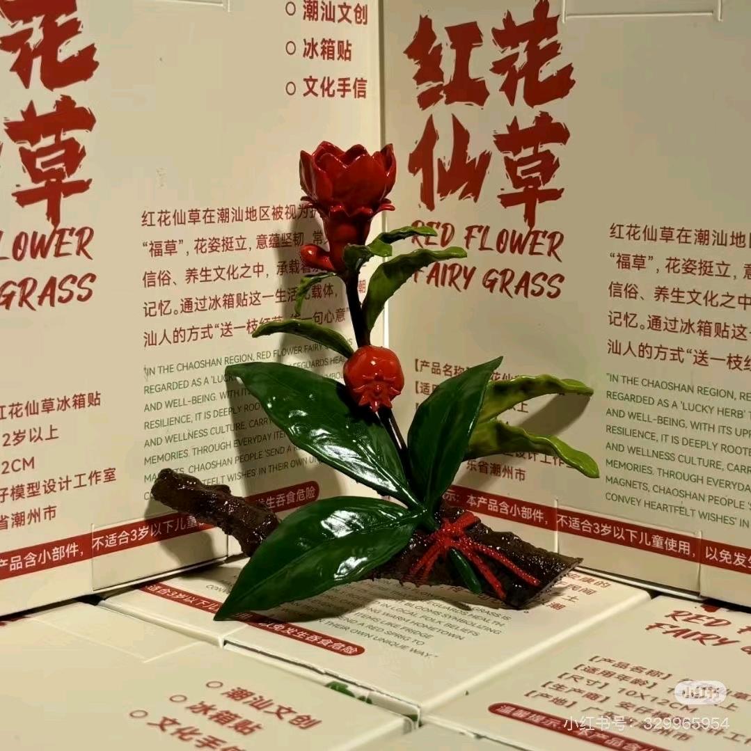 姑姑❤️