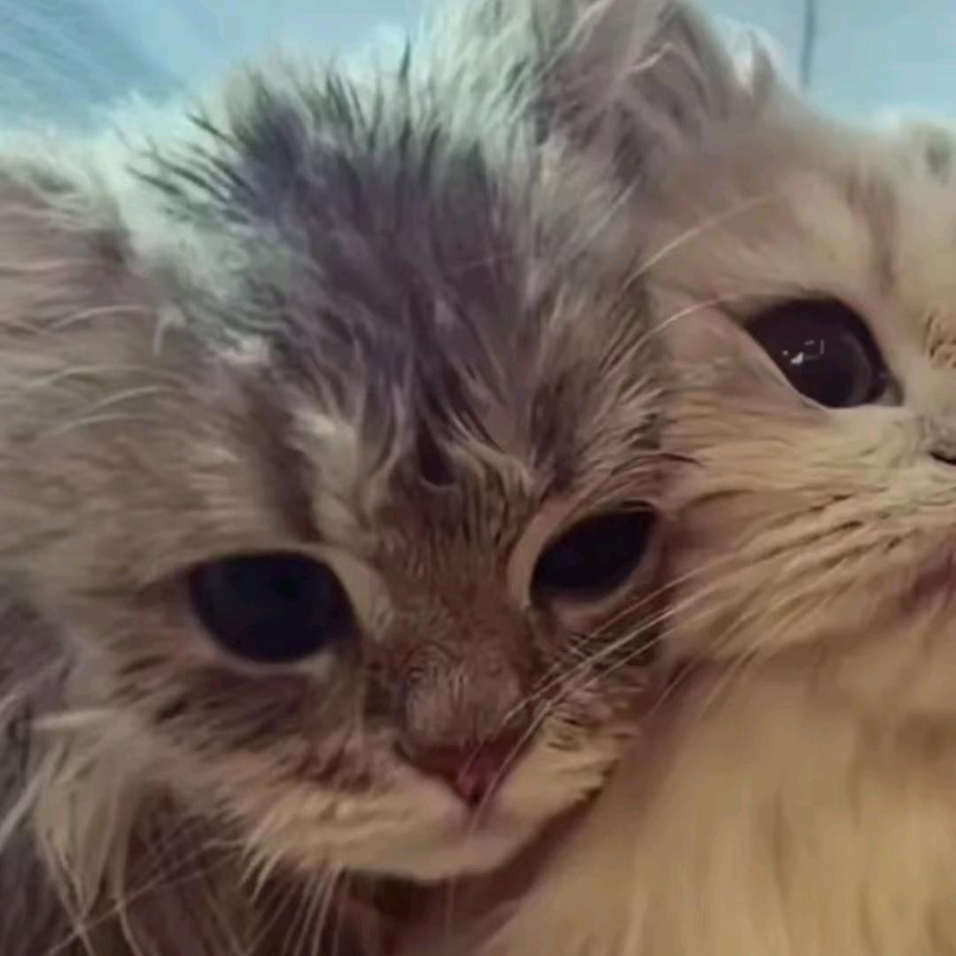 记忆里的减七和弦