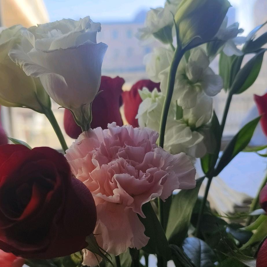 ○ 一小只暴富猫