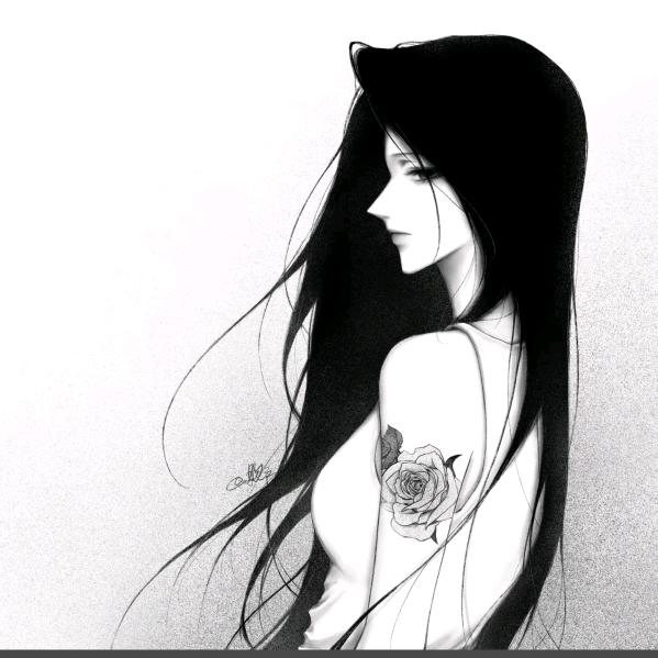 冷冻洋柿子