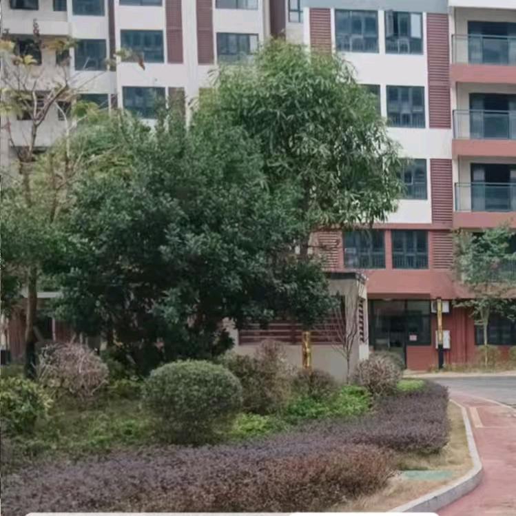 艺涵沃甄选