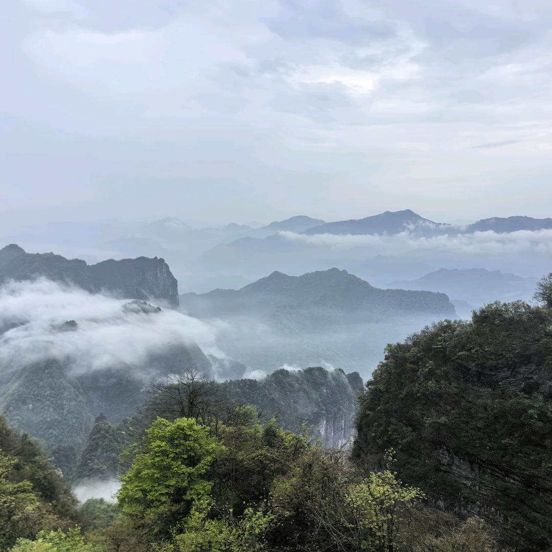忆桥头烧烤大排档官方号