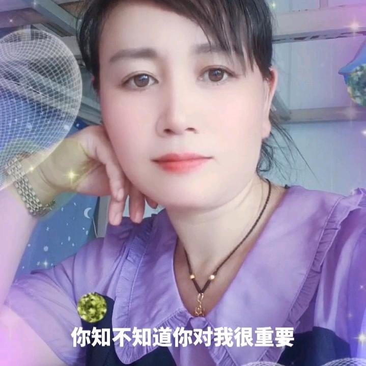 蓝飞燕