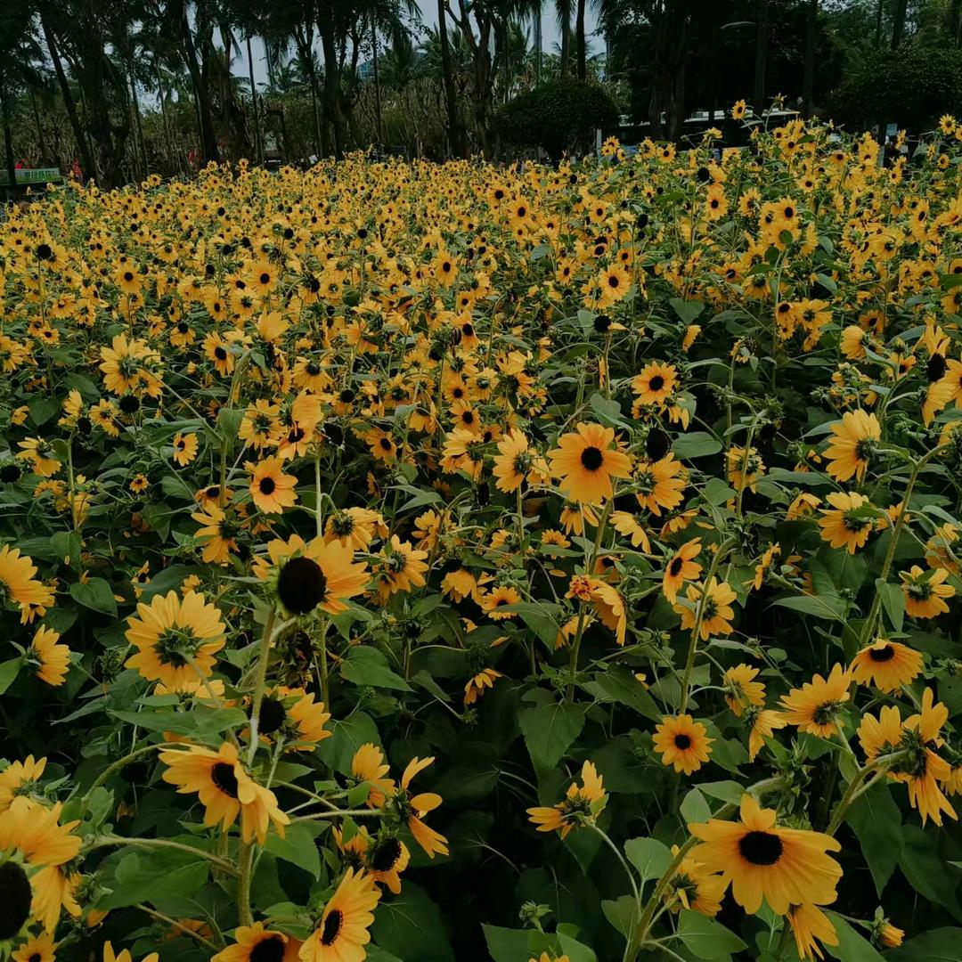 潼