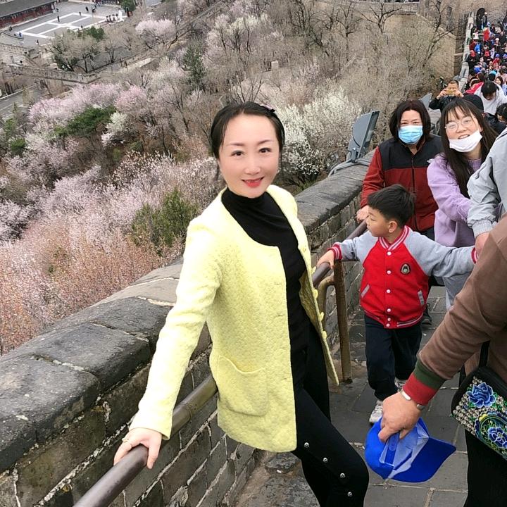 小精灵🧚‍♀️