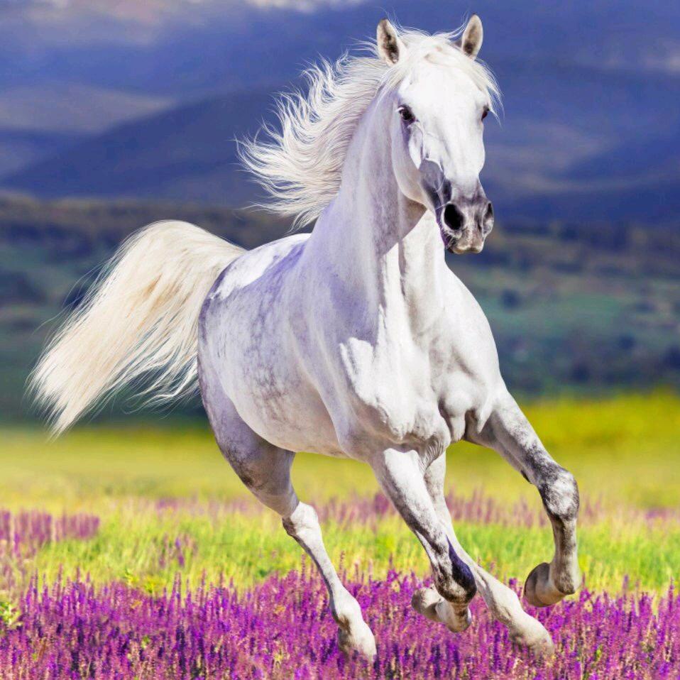 ～重启¥人生～