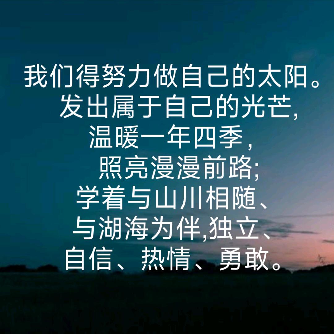 鲸在孤岛