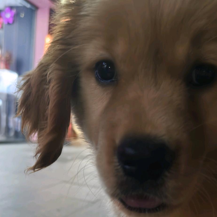 哈哈哈哈哈哈哈我服了