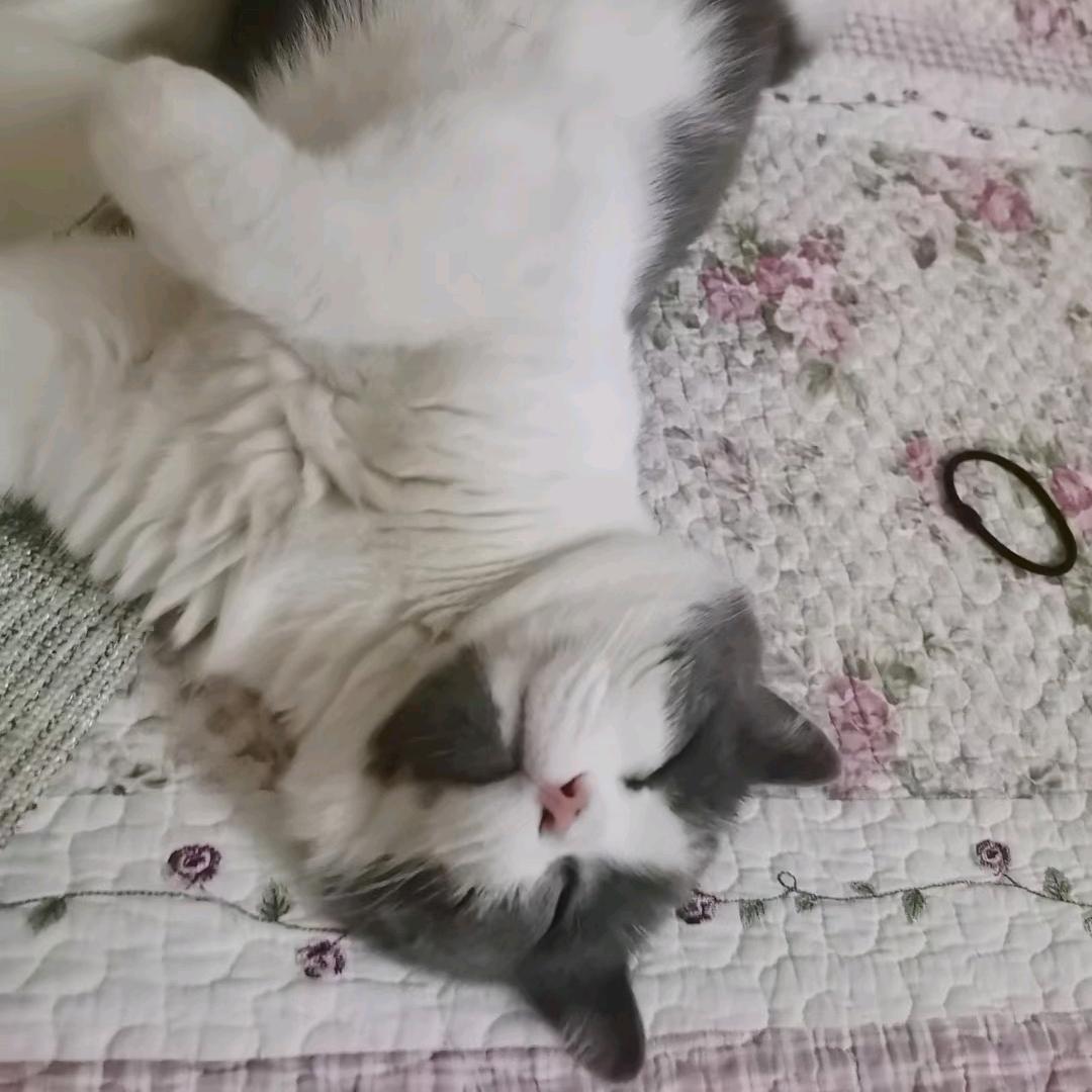 Ssssss