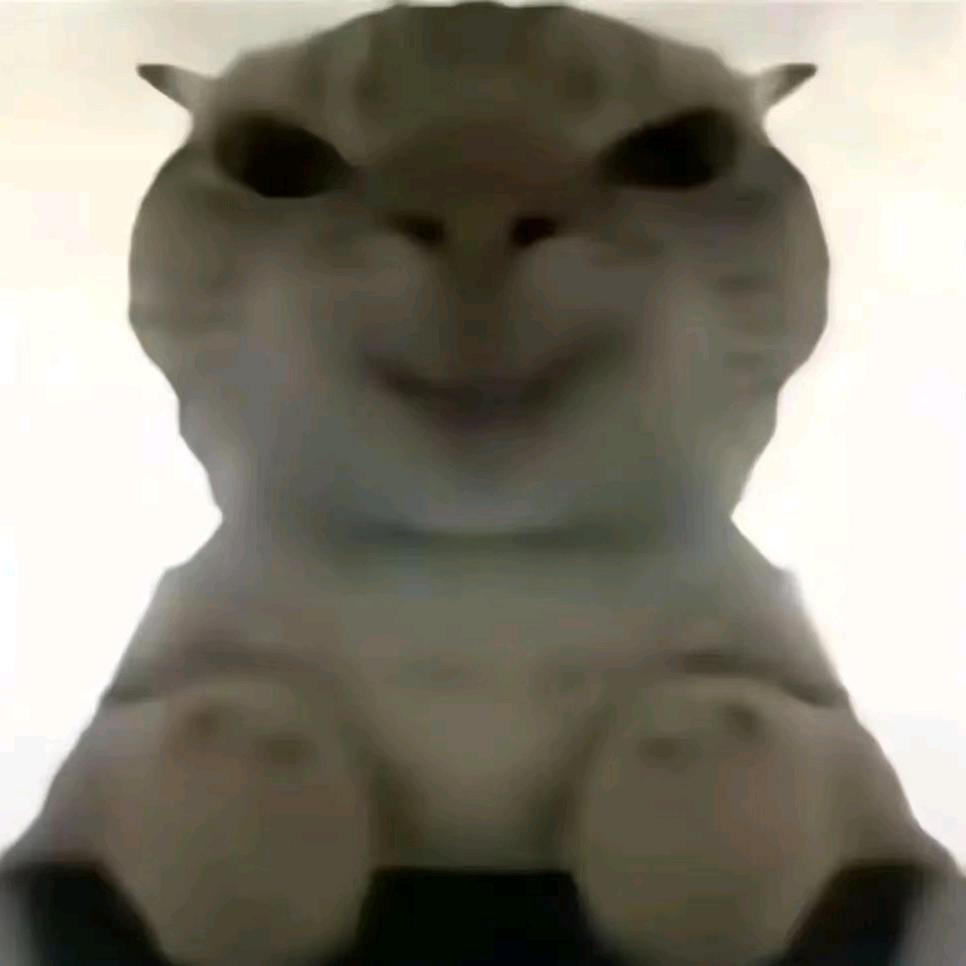心怡