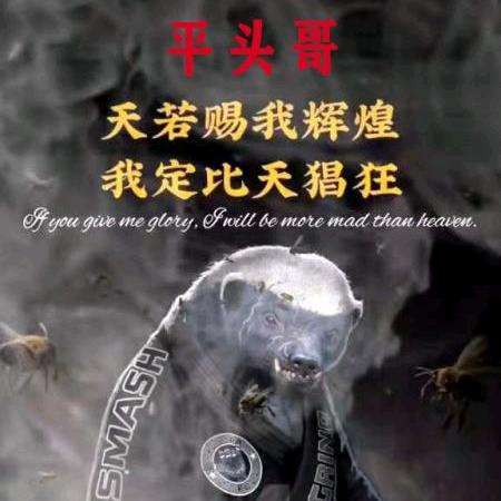 居然这么拽