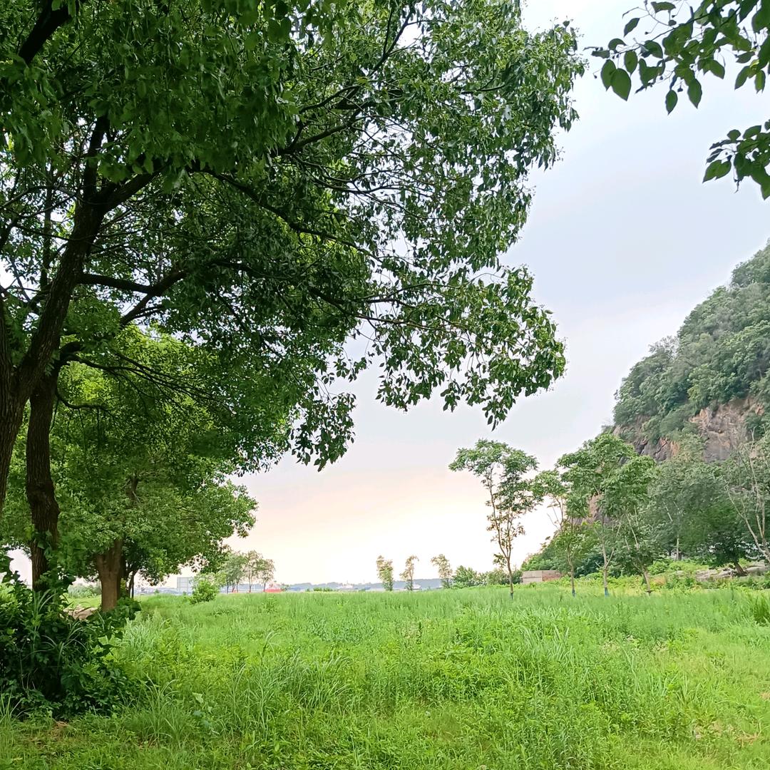 小西瓜