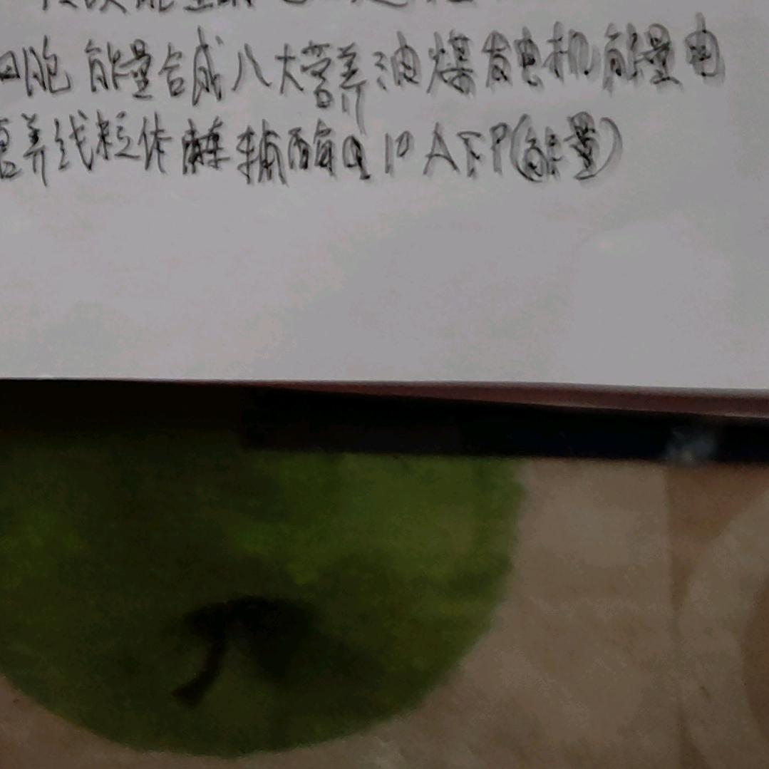 戴兆娟