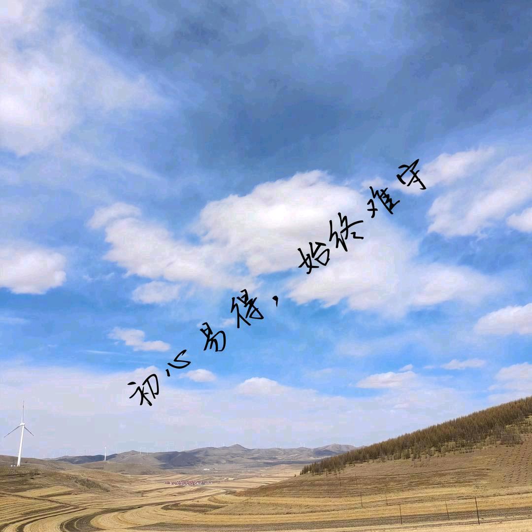 人生若只如 初见