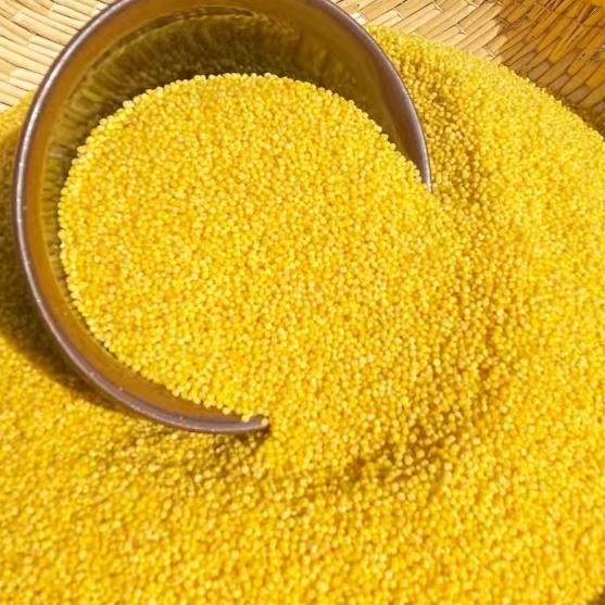 小米说食养  昌