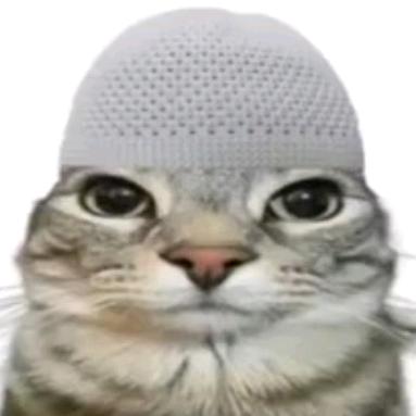 ko西卡(巴巴博一)