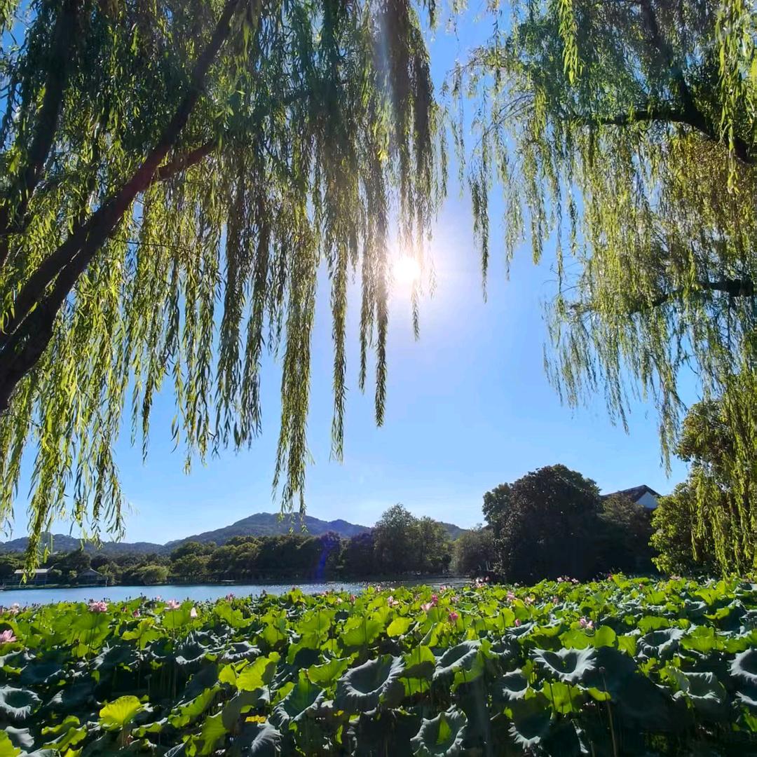 云朵Ͽ҉ ✿ ೃ ✿҉͜ ✿橱窗有好物