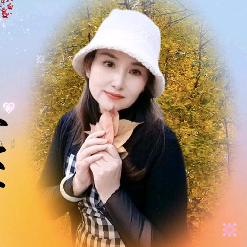 芬姐