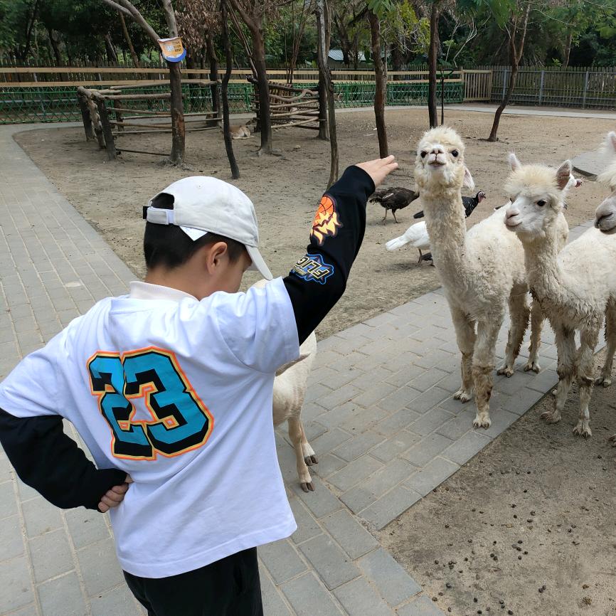 心安是归处